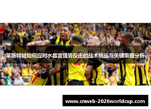 莱斯特城如何应对水晶宫强势反击的战术挑战与关键策略分析