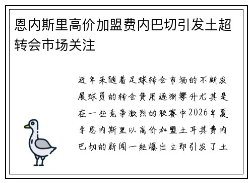 恩内斯里高价加盟费内巴切引发土超转会市场关注