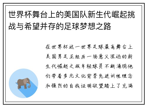 世界杯舞台上的美国队新生代崛起挑战与希望并存的足球梦想之路
